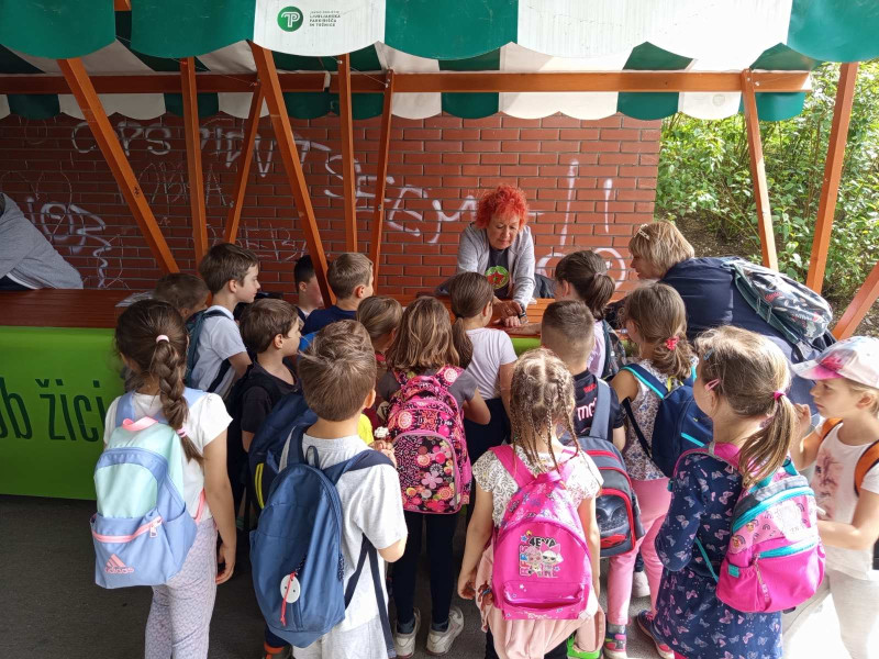 Prejemamo štempiljke od bivše vzgojiteljice Saše.